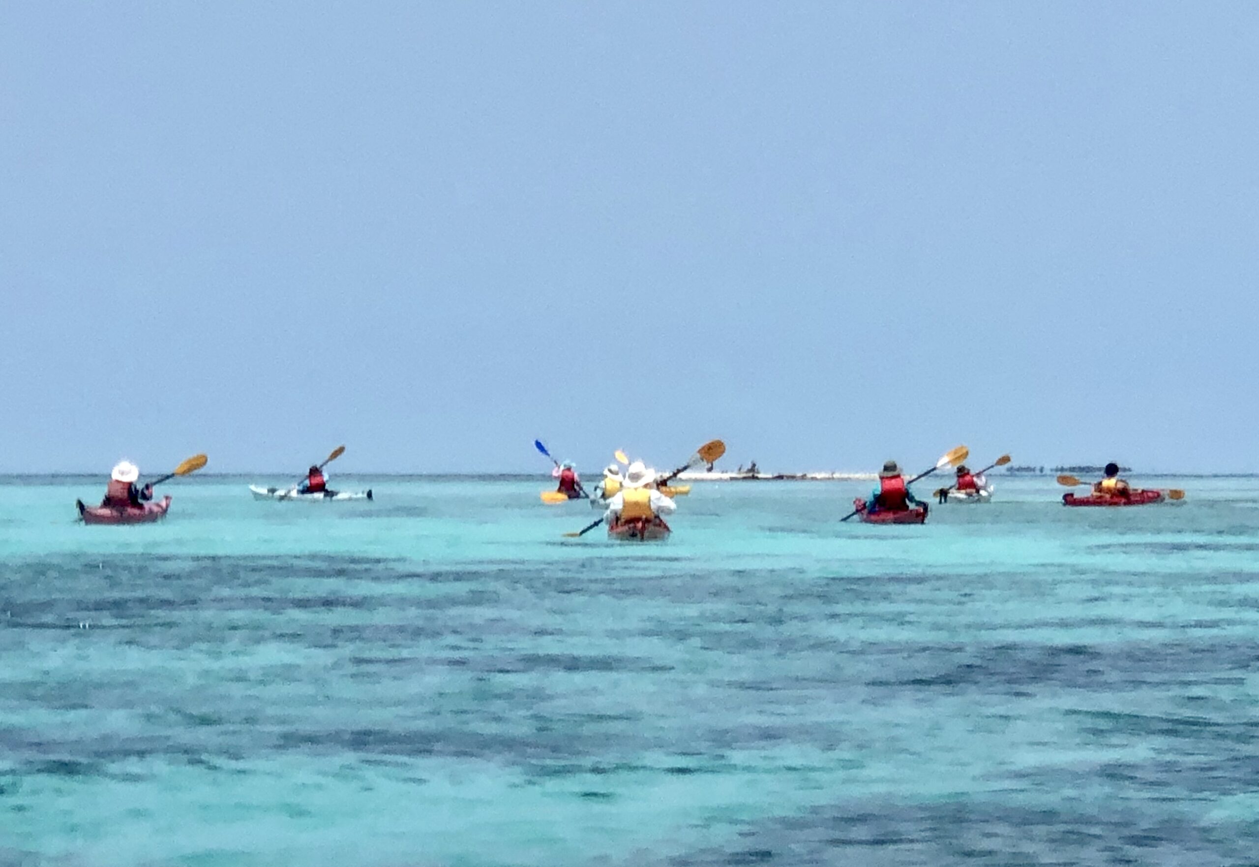kayaks on the water