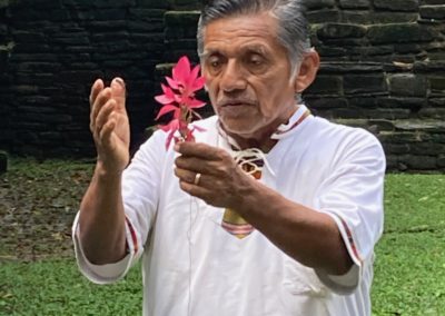 Ceremony at the Mayan Ruins